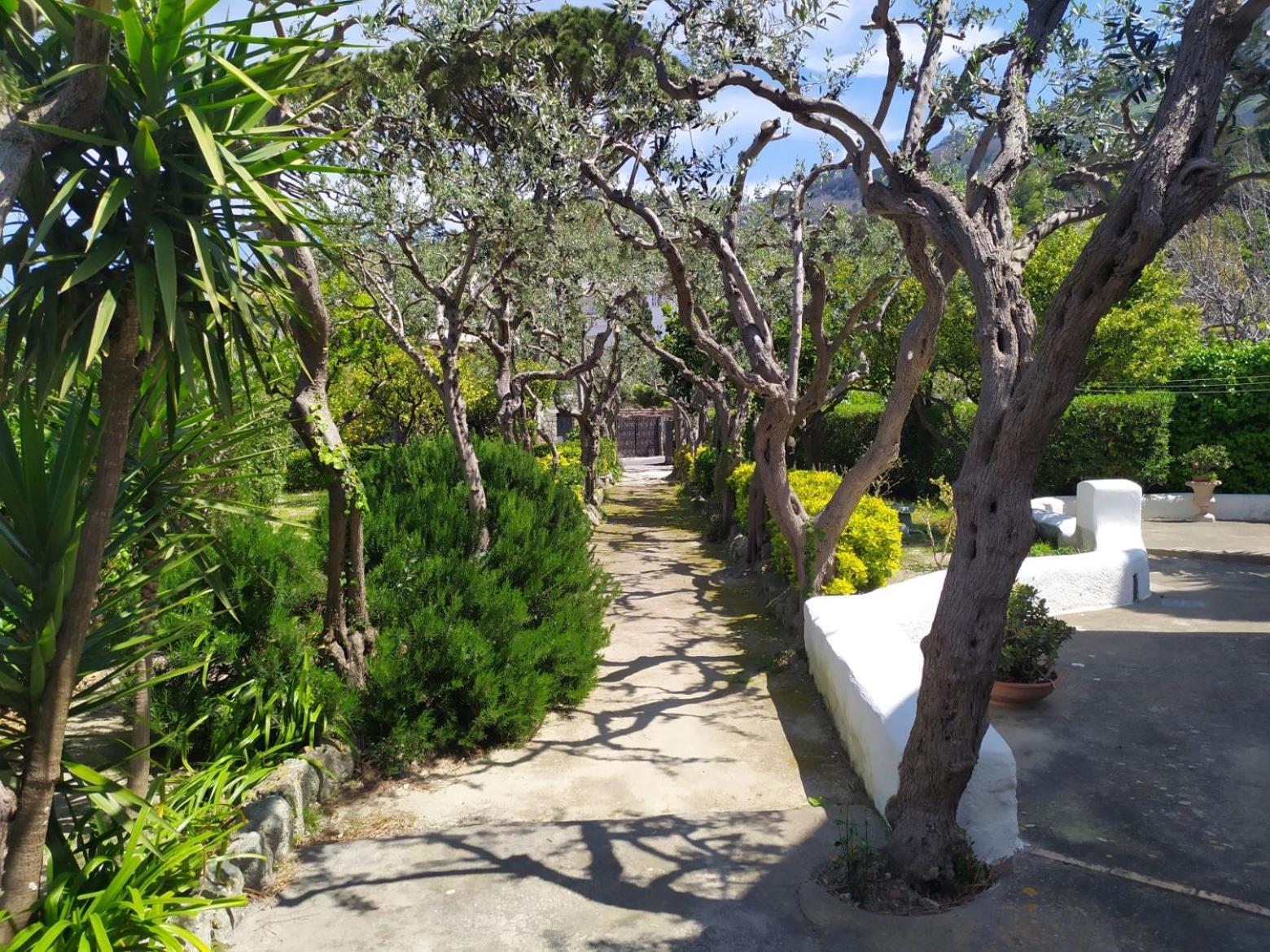 Villa Ravino Secret Retreat Forio di Ischia Exterior foto