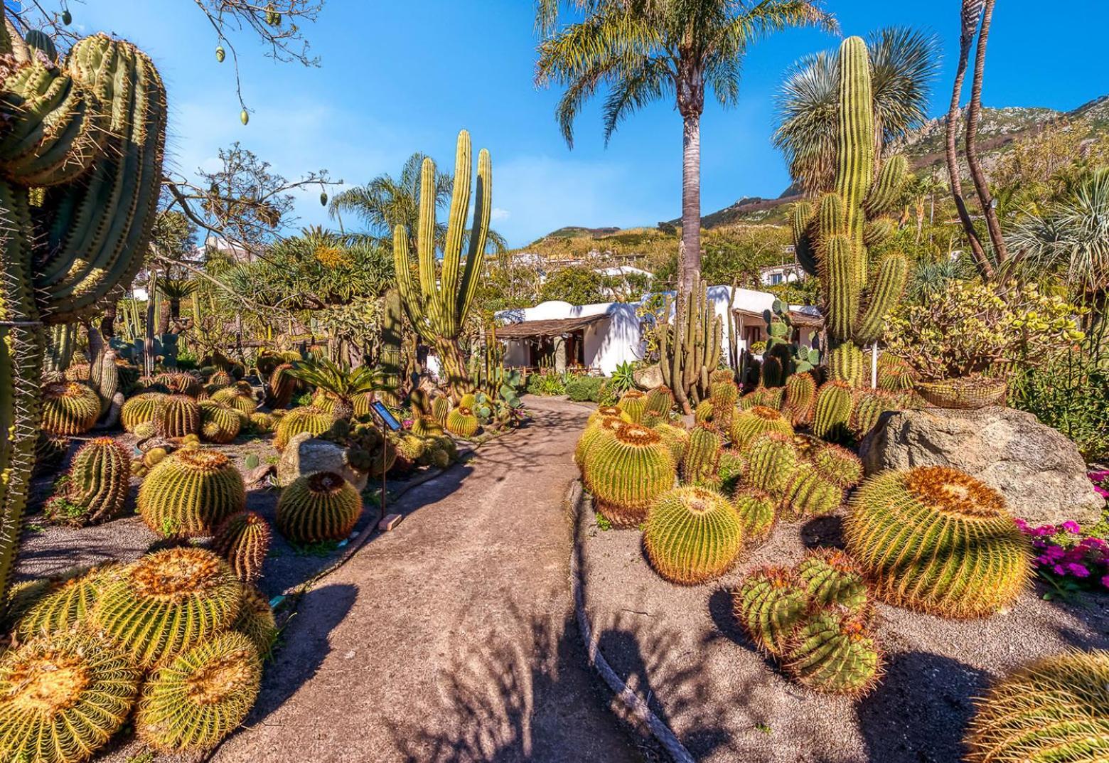 Villa Ravino Secret Retreat Forio di Ischia Exterior foto